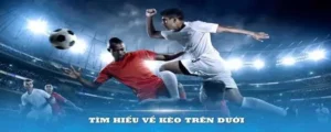 Chinh Phục Kèo Trên Kèo Dưới: Bí Quyết Của Bet Thủ Chuyên Nghiệp